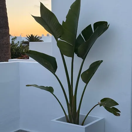 Molinos Serenity * Costa Teguise