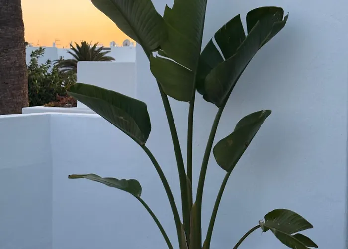 Molinos Serenity * Costa Teguise